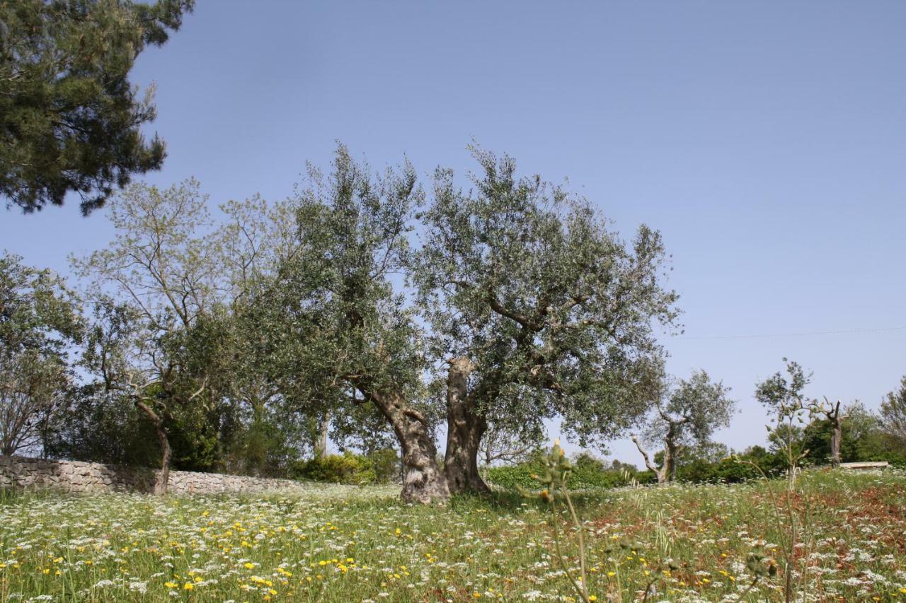 Ferienwohnung L'Eremo Alberobello Exterior foto